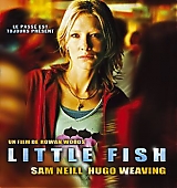LittleFish-Posters-France_001.jpg