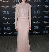 68th-cannes-film-festival-carol-after-party-may17-2015-004.jpg