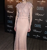 68th-cannes-film-festival-carol-after-party-may17-2015-015.jpg