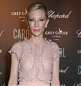 68th-cannes-film-festival-carol-after-party-may17-2015-018.jpg