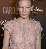 68th-cannes-film-festival-carol-after-party-may17-2015-019.jpg