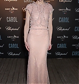 68th-cannes-film-festival-carol-after-party-may17-2015-024.jpg