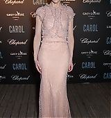 68th-cannes-film-festival-carol-after-party-may17-2015-025.jpg