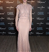 68th-cannes-film-festival-carol-after-party-may17-2015-026.jpg